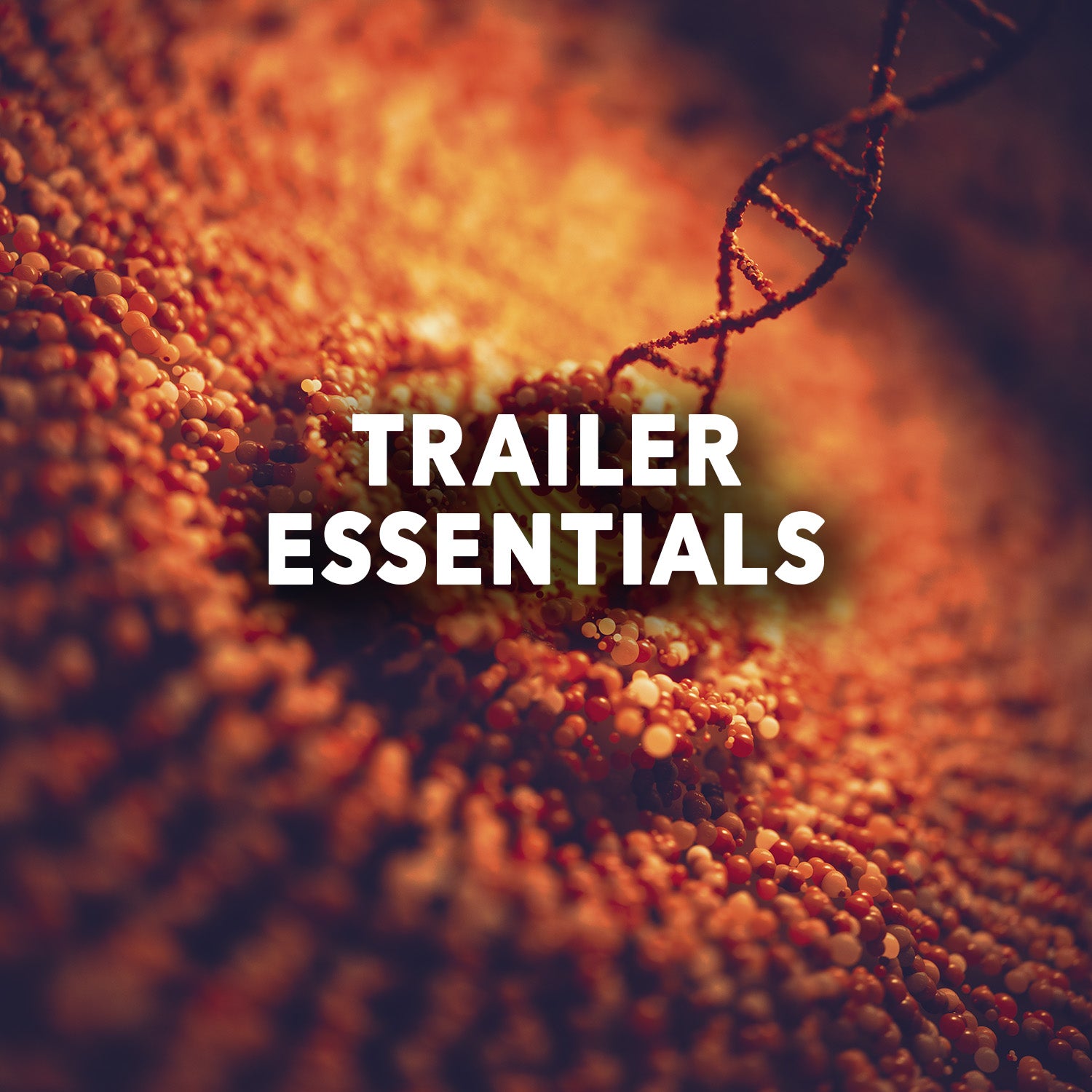 TRAILER ESSENTIALS | Trailer Sound Effects